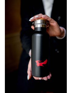 Termoska na čaj z nerezové oceli 500 ml